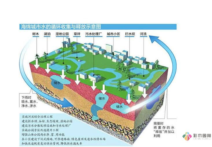 海綿城市建設理念下的市政道路設計技術(shù)指導