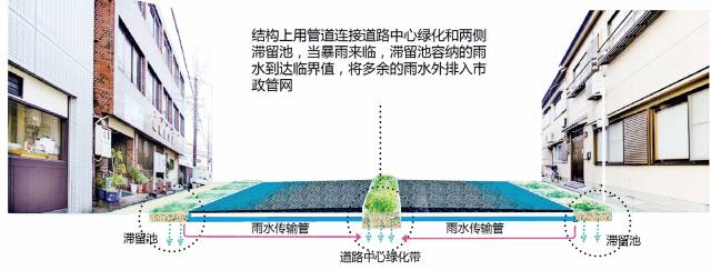 24種海綿城市設計措施全圖解_17